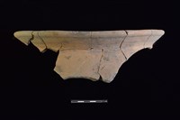 陶罐藏品圖，第1張